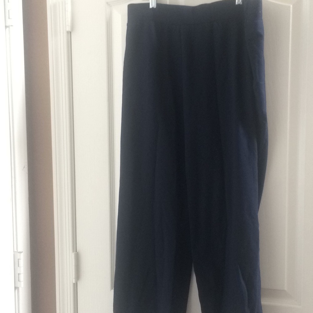 FINAL MARKDOWN Ladies Anne Klein sport slacks extra large